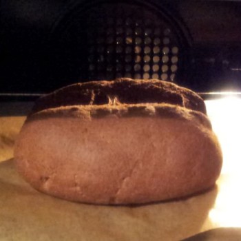 Wenn du alles richtig gemacht hast, dann sieht das Brot nach etwas über einer Stunde dann so aus!