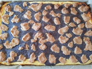 Rezept-Mohn-Pudding-Quarkschnitten-low-carb-glutenfrei-WEB
