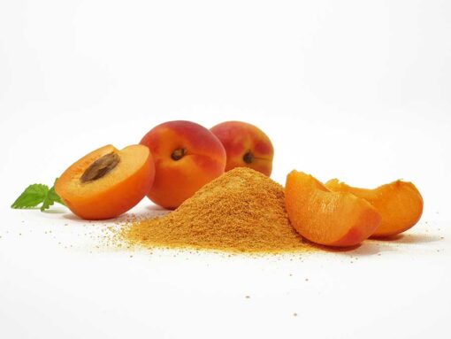 Fruchtpulver APRIKOSE Aprikosenpulver gefriergetrocknet 100% Natur