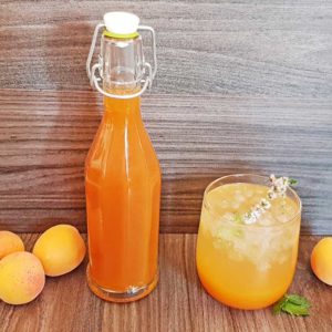 Rezept Karamell Aprikosen Marillen Sirup lowcarb