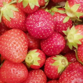 Rezept Erdbeer Proteindessert lowcarb glutenfrei