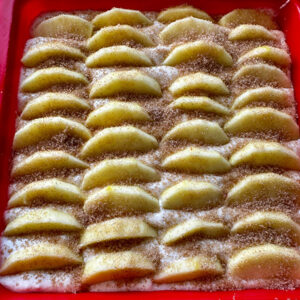 Grundrezept Proteinkuchen Typ "Apfel" lowcarb glutenfrei kalorienarm