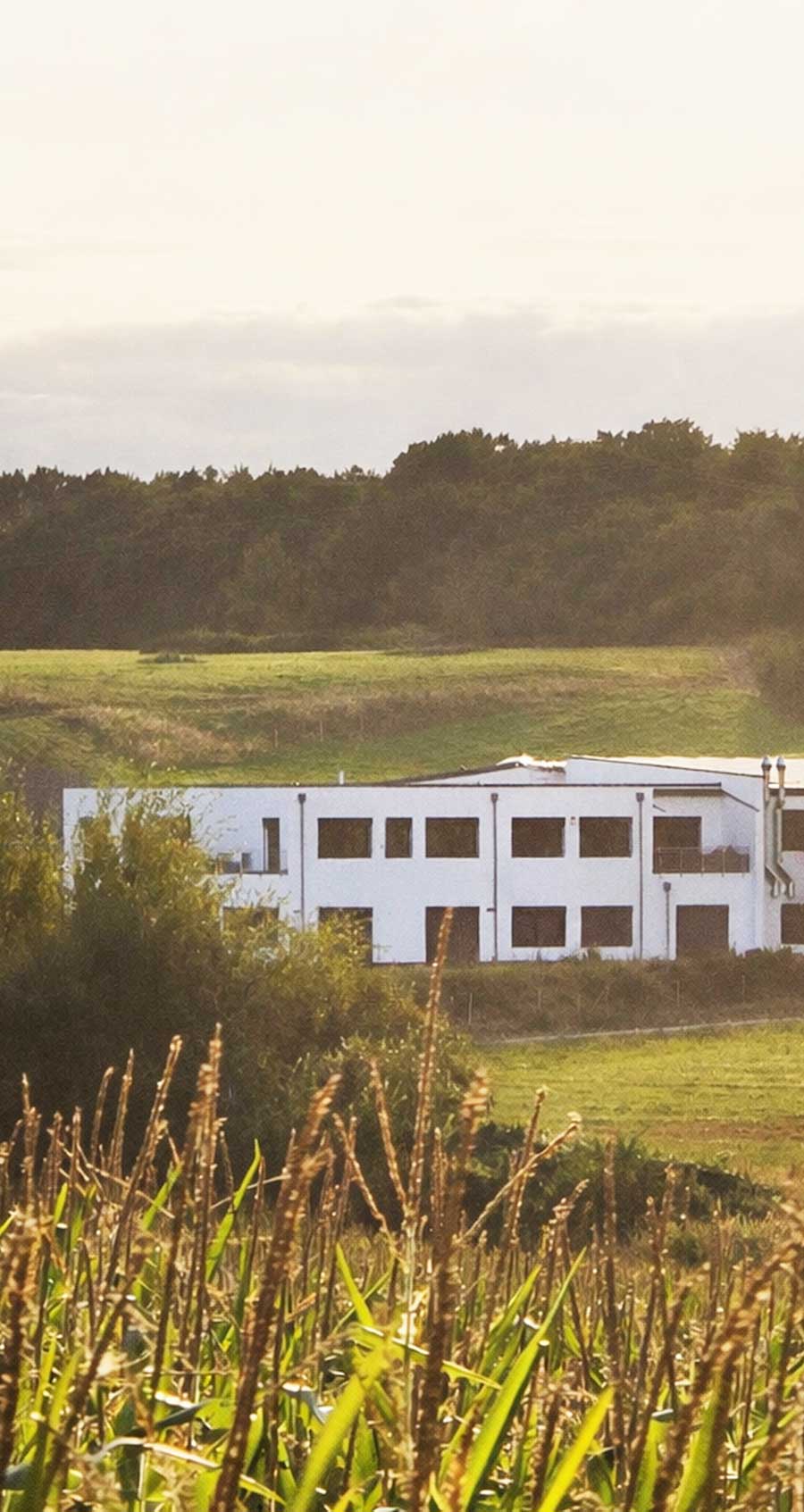 Dr. Almond Produktionsstätte in Ramstein